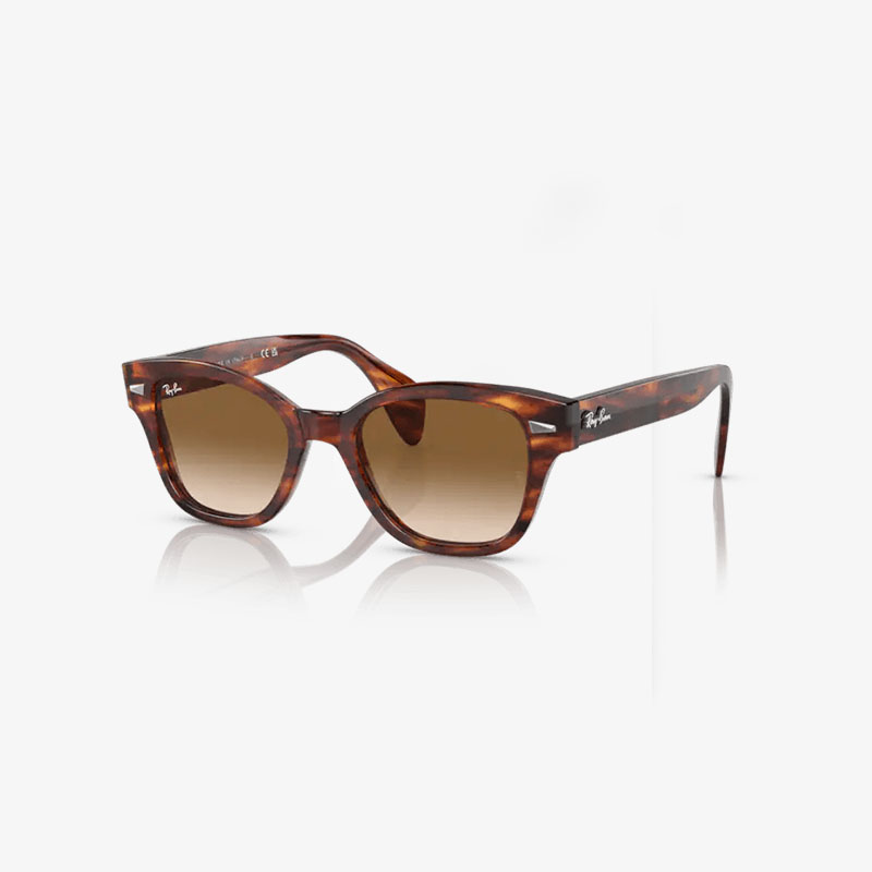 Ray-Ban 0880S