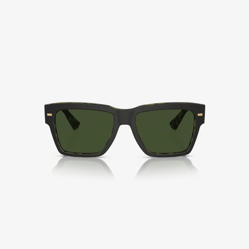 Dolce & Gabbana 4431 34031U